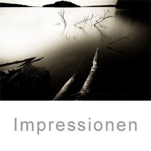 impressionen, landschaften, pflanzen, tiere, natur, stilleben